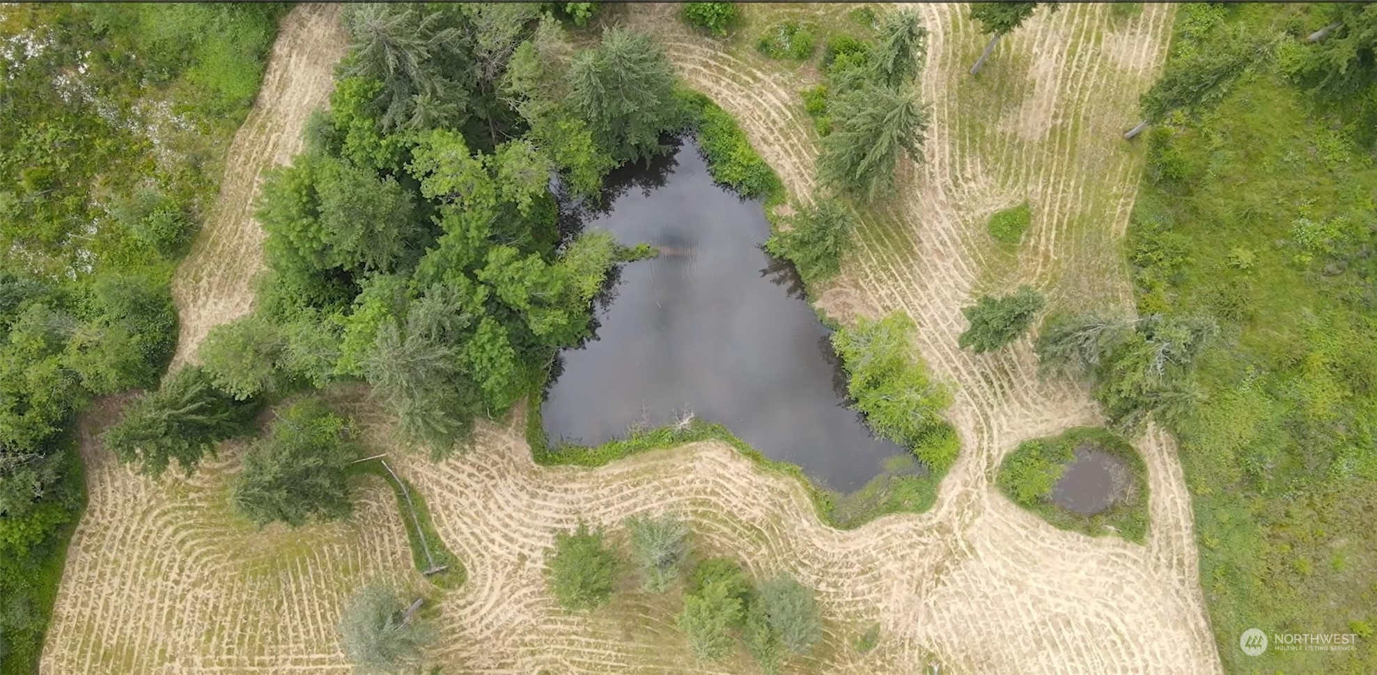 2200 Cooks Hill Road Centralia, WA 98531 - Photo 9 of 31