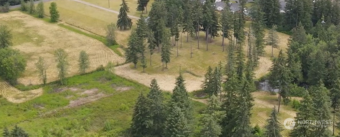 2200 Cooks Hill Road Centralia, WA 98531 - Photo 10 of 31 a view of a yard