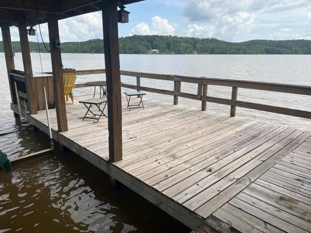 16562 Gantt Lake Road Dozier, AL 36028 - Photo 19 of 42 Gallery Image 19