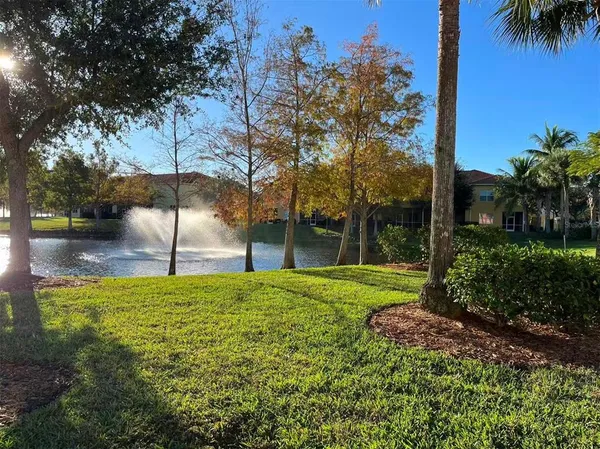 a view of a park with a tree