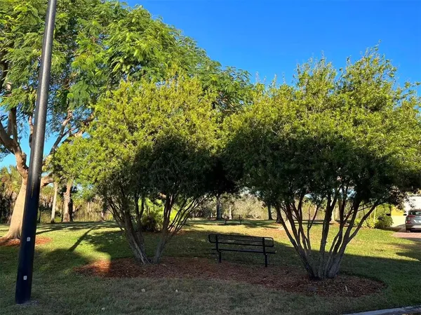 a view of backyard with large trees