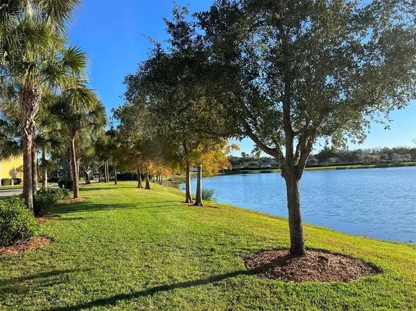 a view of a yard with a tree