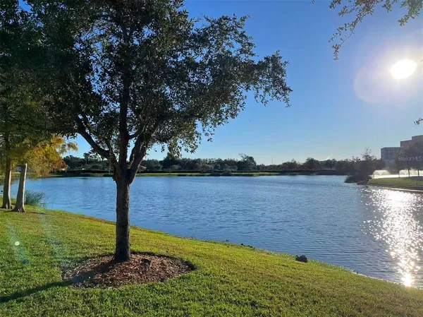 a view of a lake from a yard
