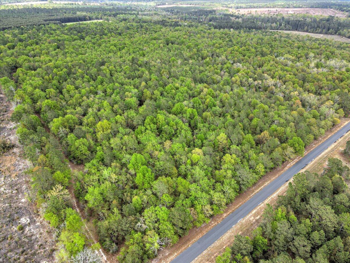 0 Millers Pond Road, Unit LOT 2 Salley, SC 29137 - Photo 3 of 13