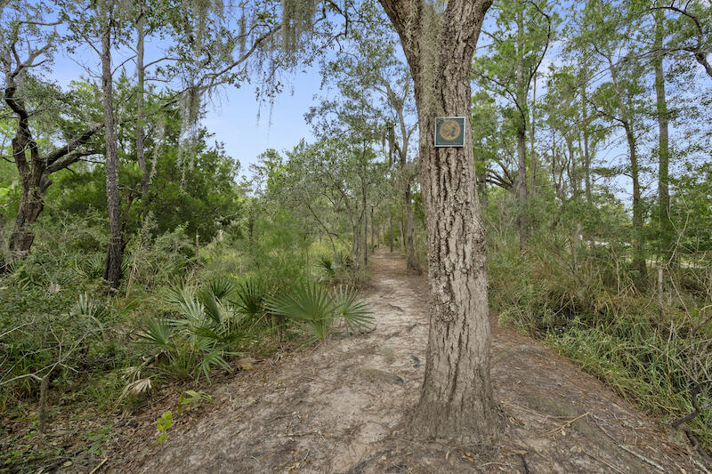 2699 Rutherford Way Charleston, SC 29414 - Photo 72 of 74 SDH04894