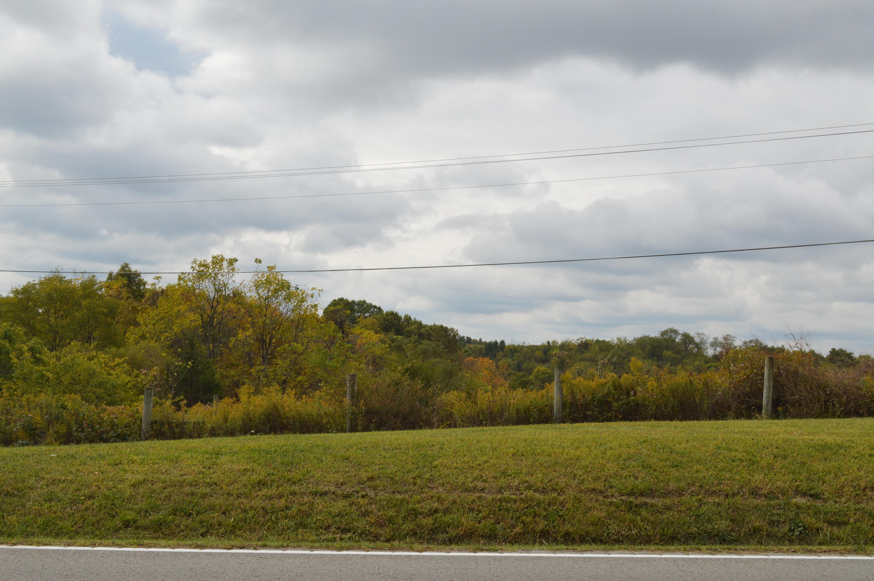 Lot # Georgetown Road Owenton, KY 40359 - Photo 10 of 13 DSC_0100