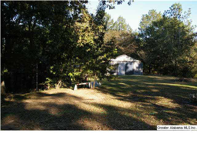 9121 3rd Avenue Trafford, AL 35172 - Photo 10 of 10