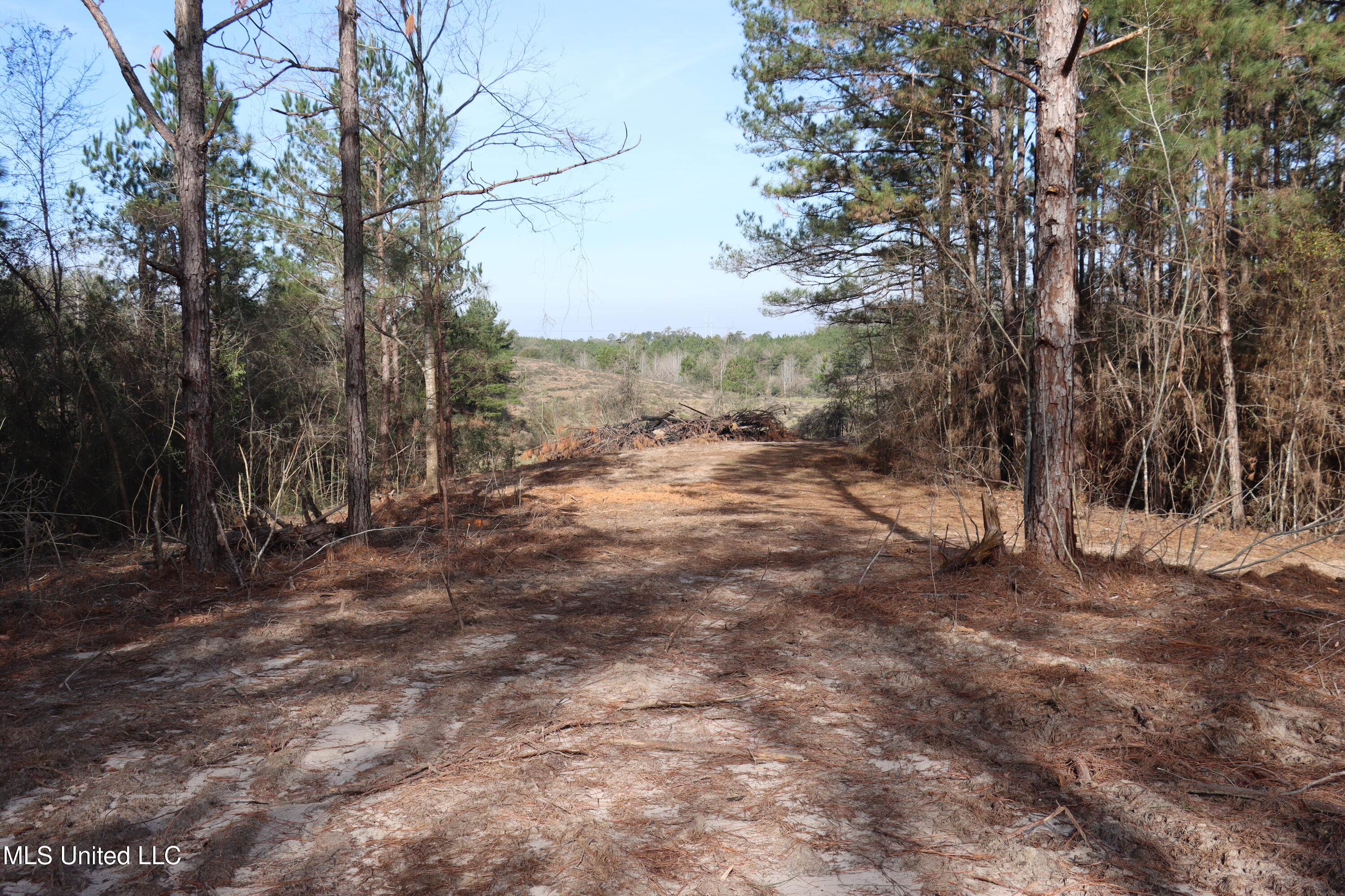 1270 Hilt Fornea Road Poplarville, MS 39470 - Photo 11 of 16 532959CF-FE28-42AC-A4EA-6C0BB63B59D5 cop