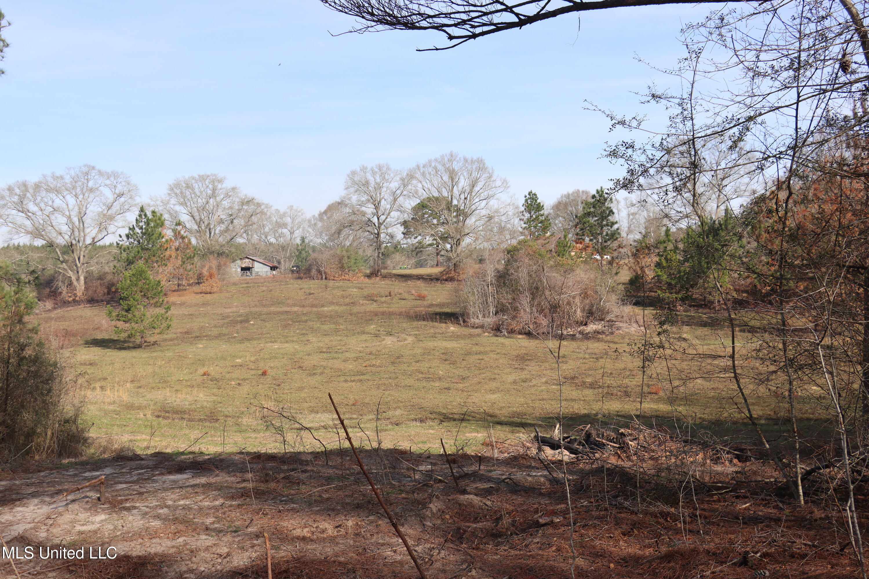 1270 Hilt Fornea Road Poplarville, MS 39470 - Photo 12 of 16 E9113CC4-559B-4E3A-AA30-159538267874 cop