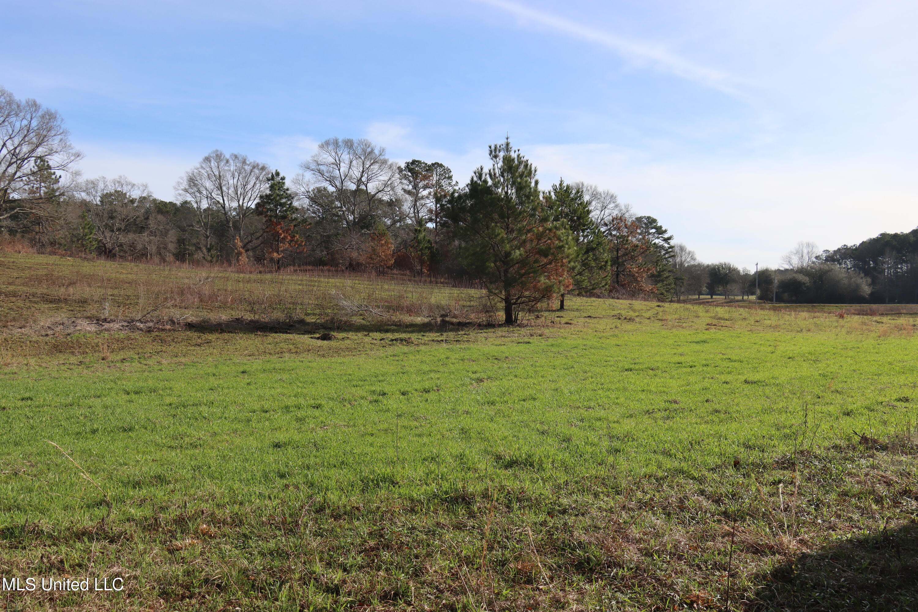 1270 Hilt Fornea Road Poplarville, MS 39470 - Photo 13 of 16 F8283BA4-27DB-41FD-AF85-BC9DA07A1FD6 cop