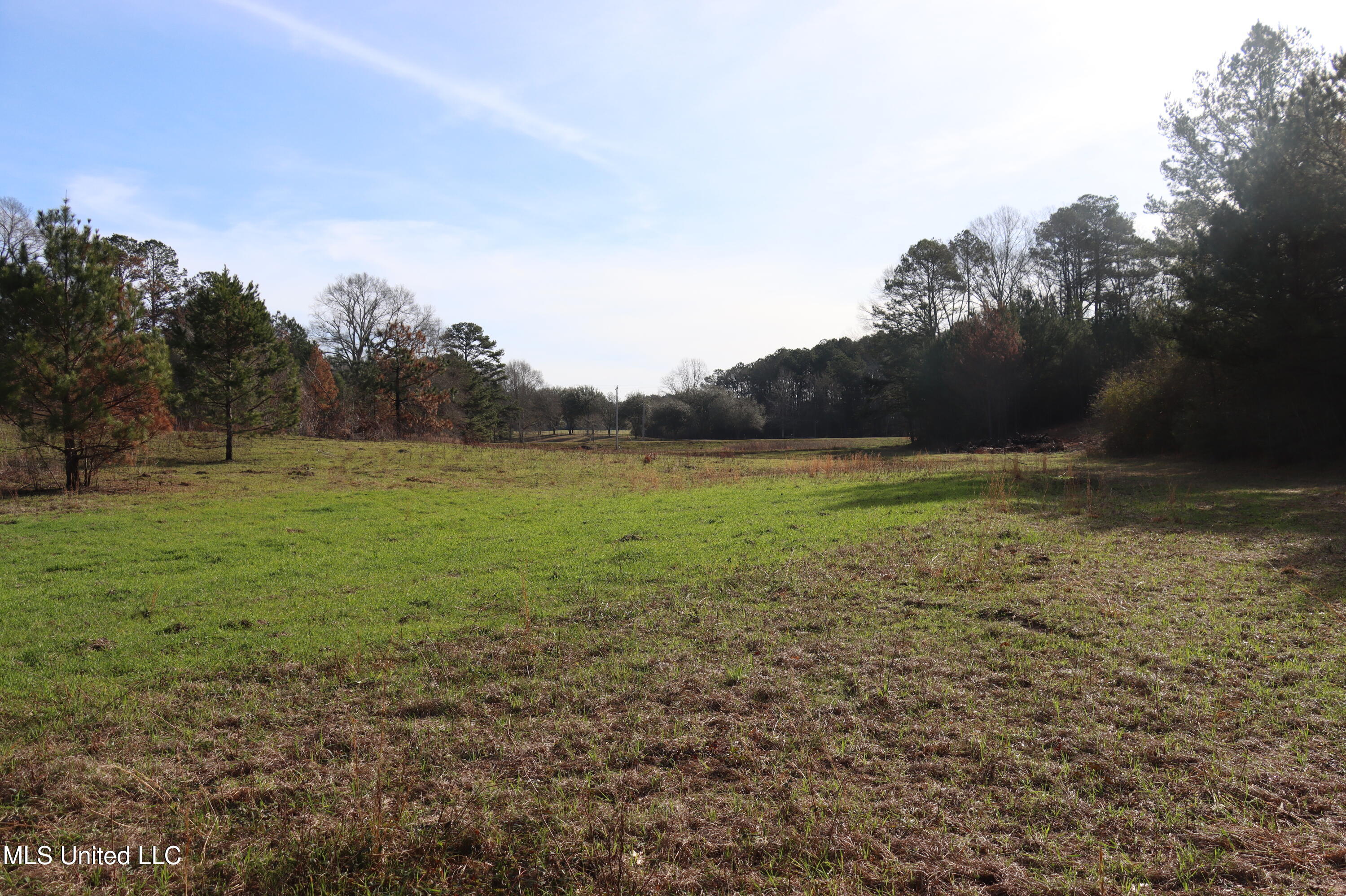 1270 Hilt Fornea Road Poplarville, MS 39470 - Photo 14 of 16 70ACF92A-FCC1-4B20-8068-C1BD29B7DEC4 cop