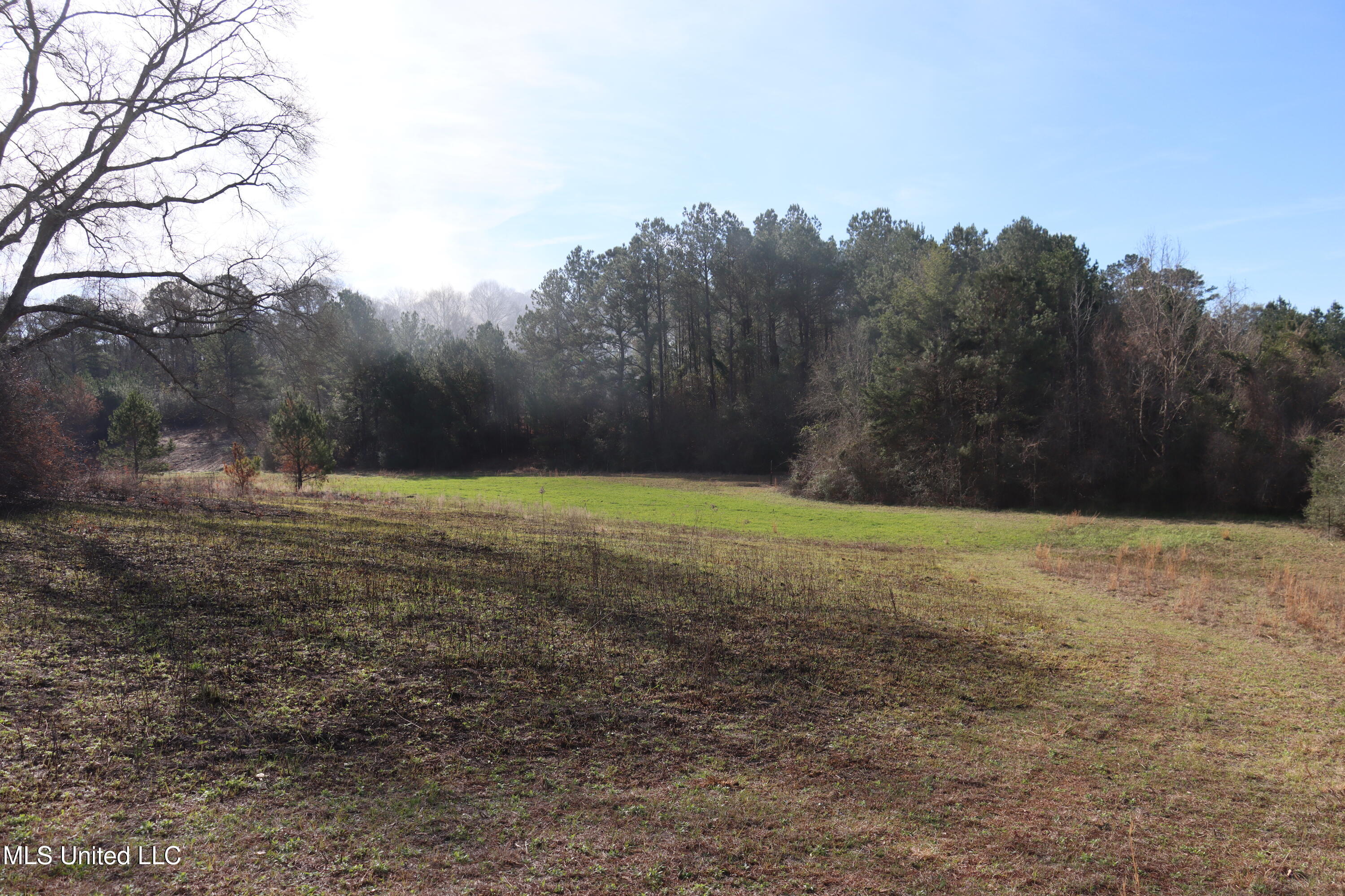 1270 Hilt Fornea Road Poplarville, MS 39470 - Photo 15 of 16 2E9C9CB1-2E1C-464D-9C31-3F9B8E207D22 cop