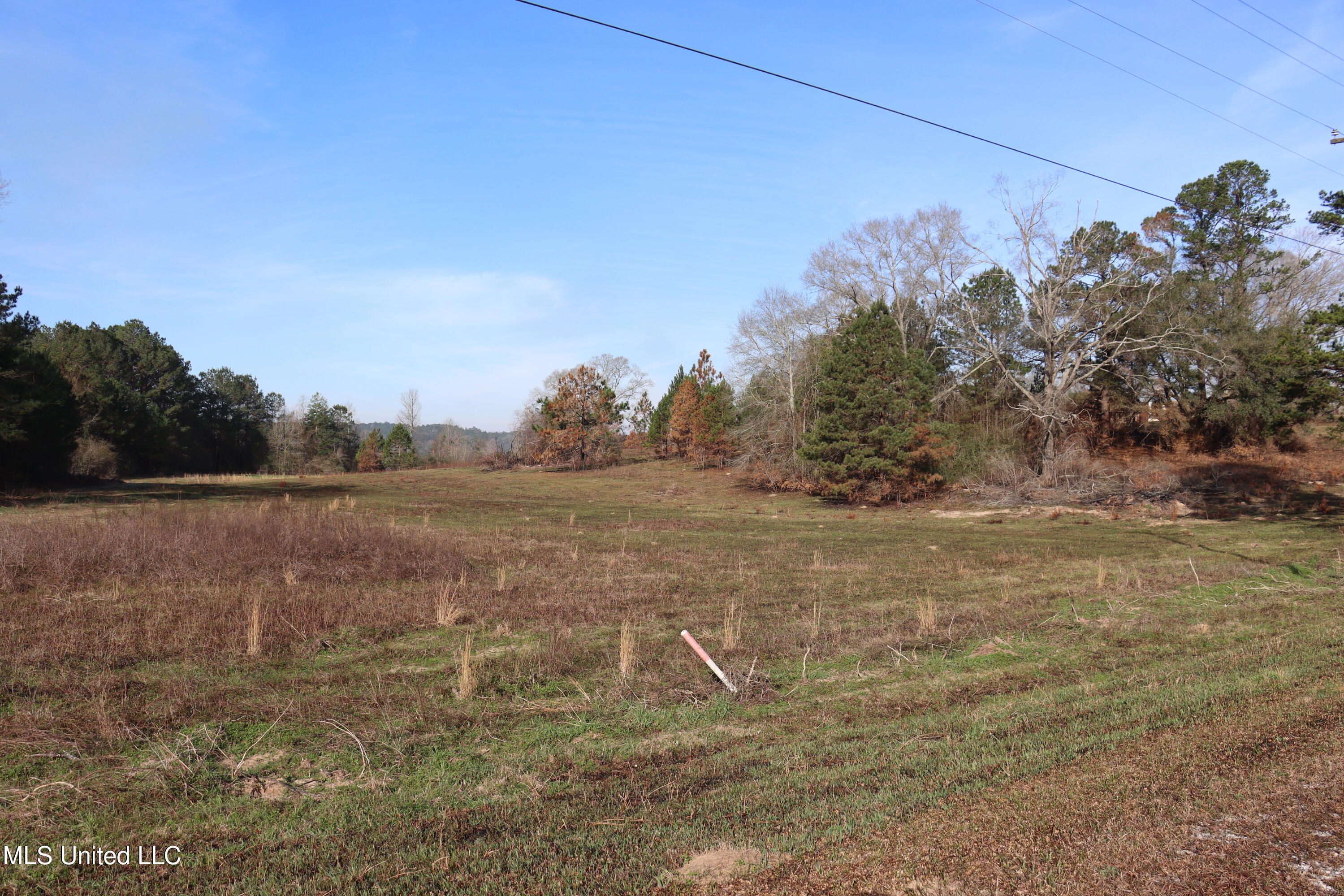 1270 Hilt Fornea Road Poplarville, MS 39470 - Photo 2 of 16 561D4C0B-420F-4074-88A7-E07F202D75E5 cop