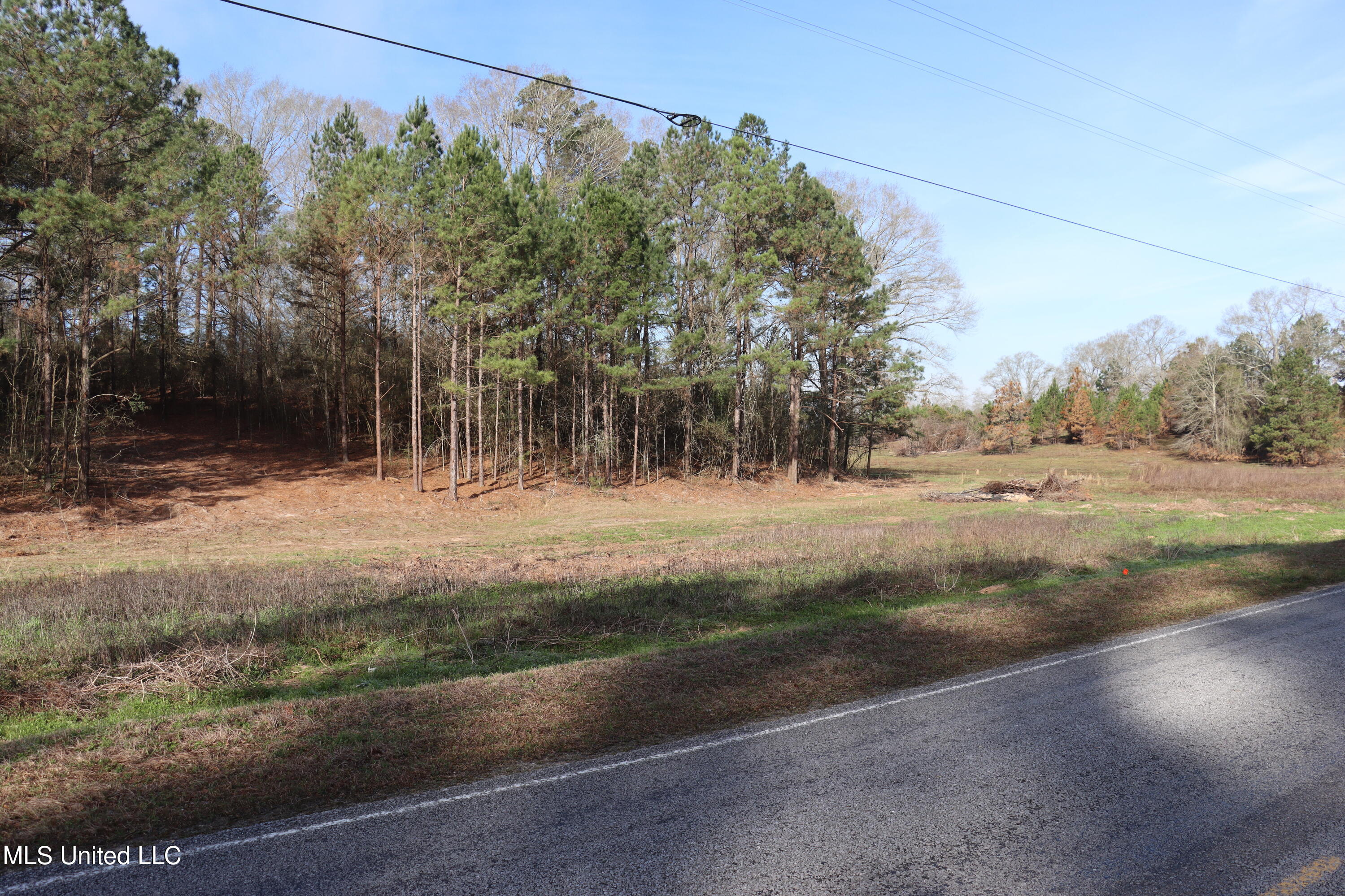 1270 Hilt Fornea Road Poplarville, MS 39470 - Photo 3 of 16 6C8A5CA0-B72E-4BE1-AB3D-B1A94004D340 cop