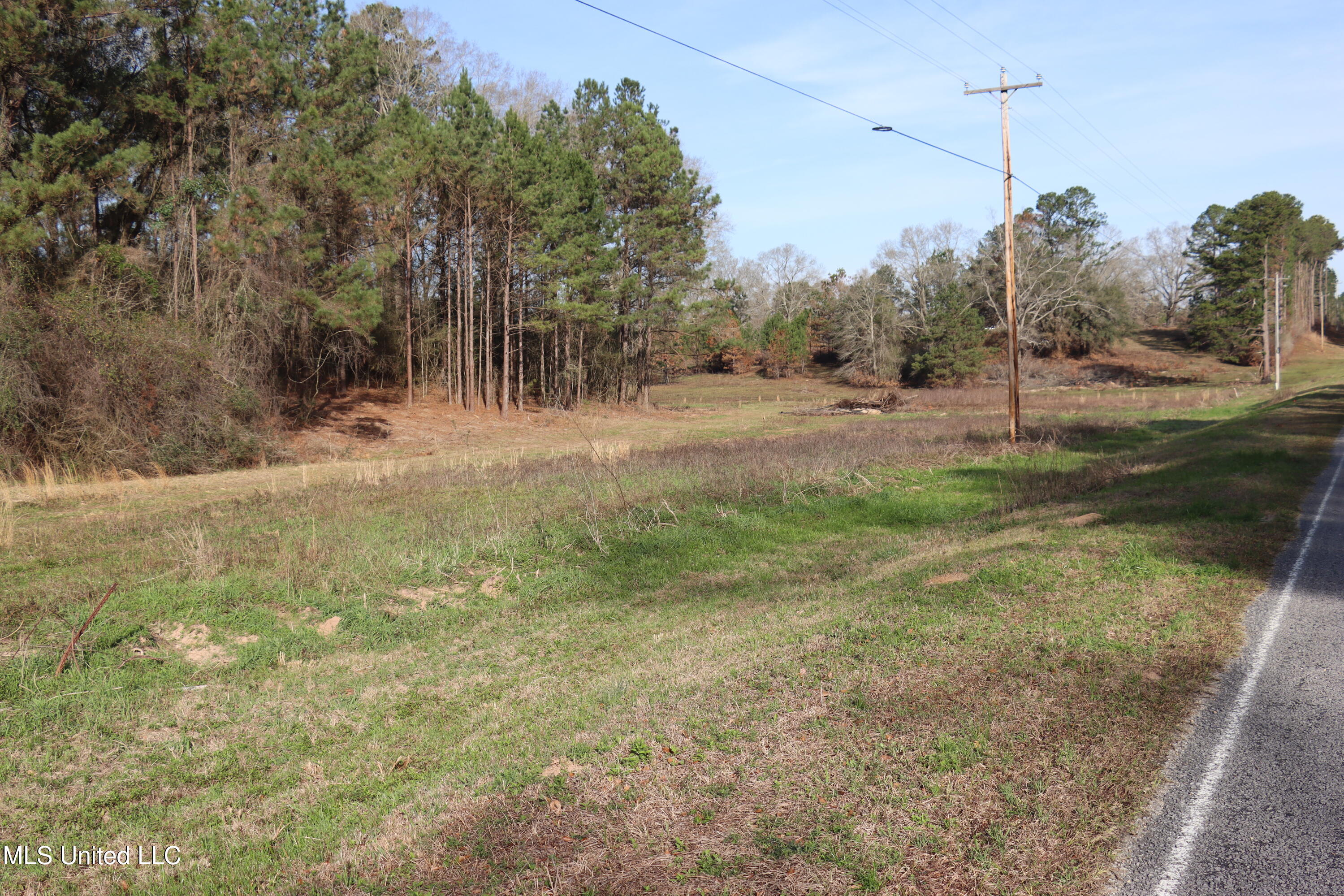 1270 Hilt Fornea Road Poplarville, MS 39470 - Photo 5 of 16 A3B47DF3-C7BD-4BE3-B27F-9A4942D6A1EF cop