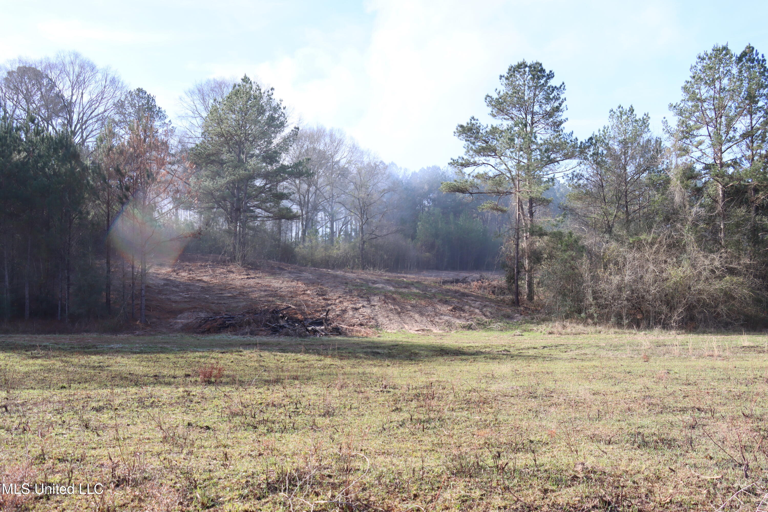 1270 Hilt Fornea Road Poplarville, MS 39470 - Photo 6 of 16 8C652E04-DAB3-4235-936E-CD45819ABA8E cop