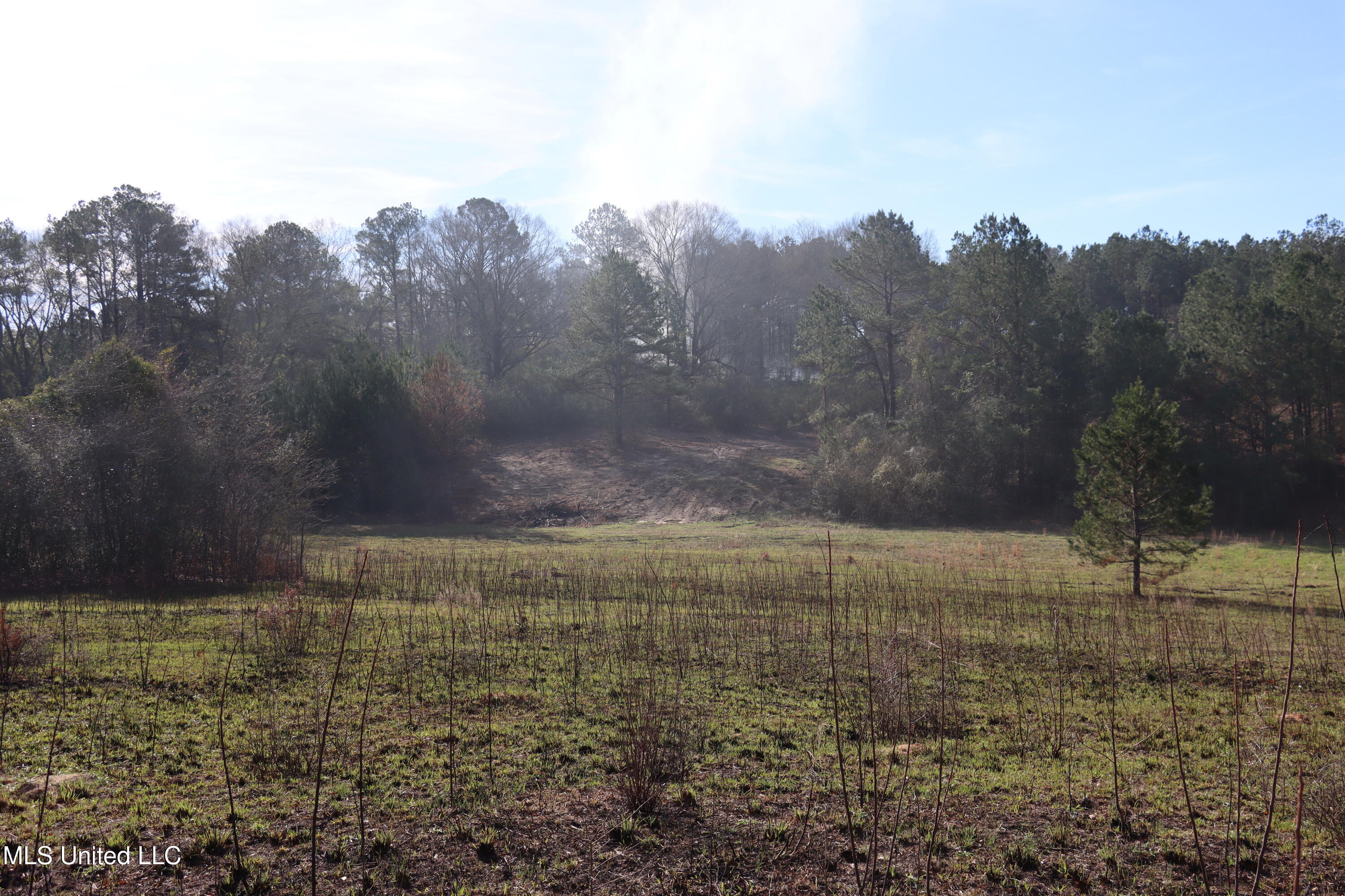 1270 Hilt Fornea Road Poplarville, MS 39470 - Photo 7 of 16 CB2A4926-4C30-40CB-ADFE-3EDF08CDD341 cop