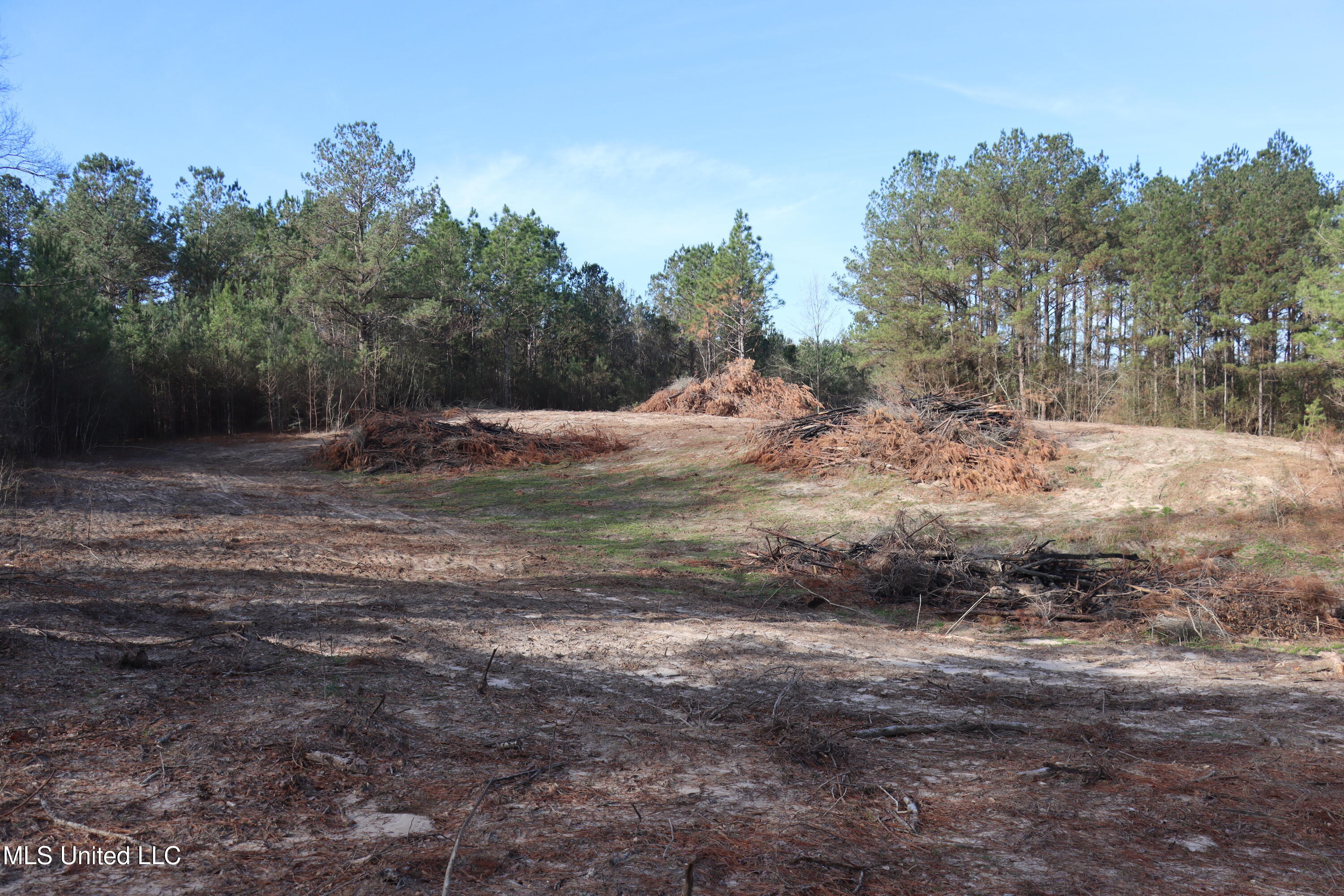 1270 Hilt Fornea Road Poplarville, MS 39470 - Photo 8 of 16 5