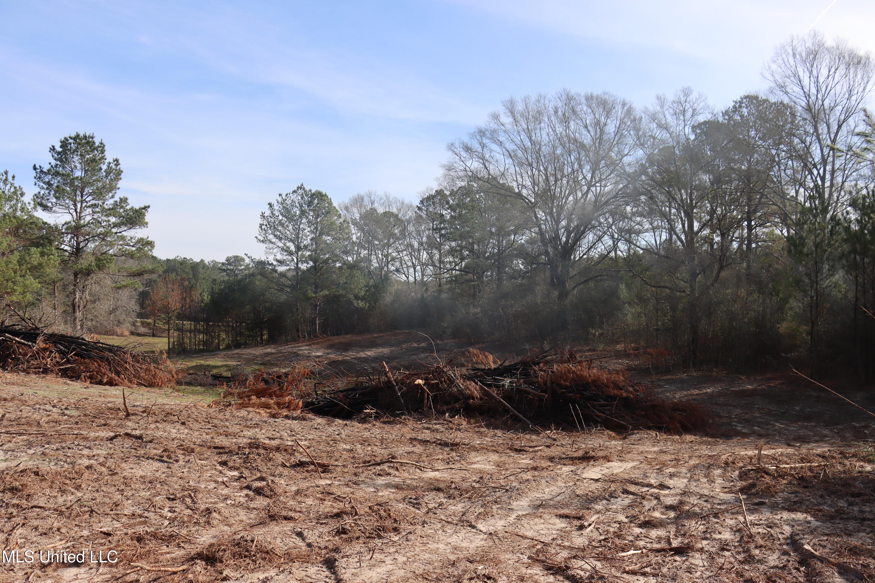 1270 Hilt Fornea Road Poplarville, MS 39470 - Photo 9 of 16 CDA32B2B-D0A3-4E3E-853E-43FDC3CC01DA cop