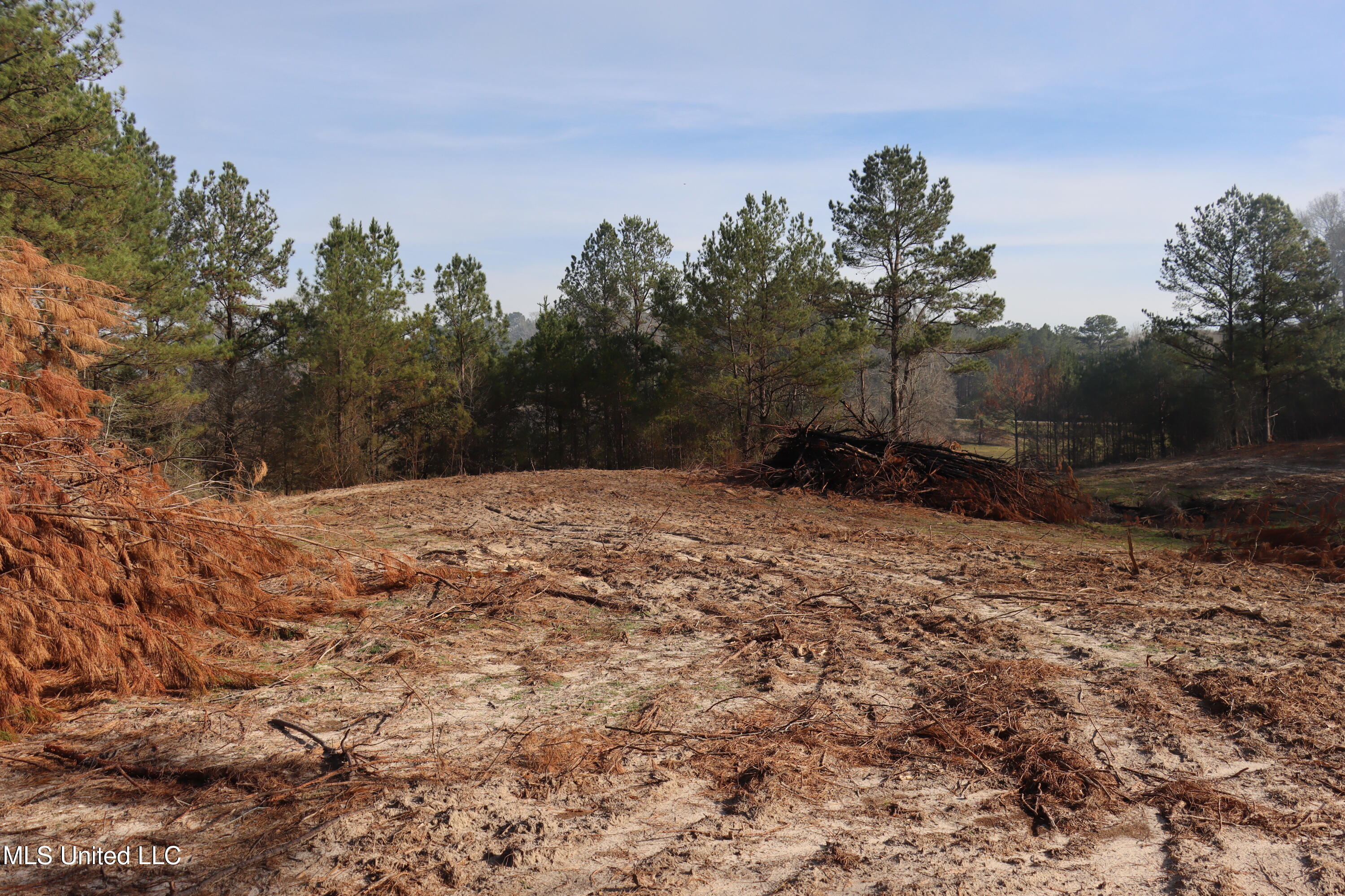 1270 Hilt Fornea Road Poplarville, MS 39470 - Photo 10 of 16 F4830A29-78FE-43B2-91E7-B406AE67EF28 cop