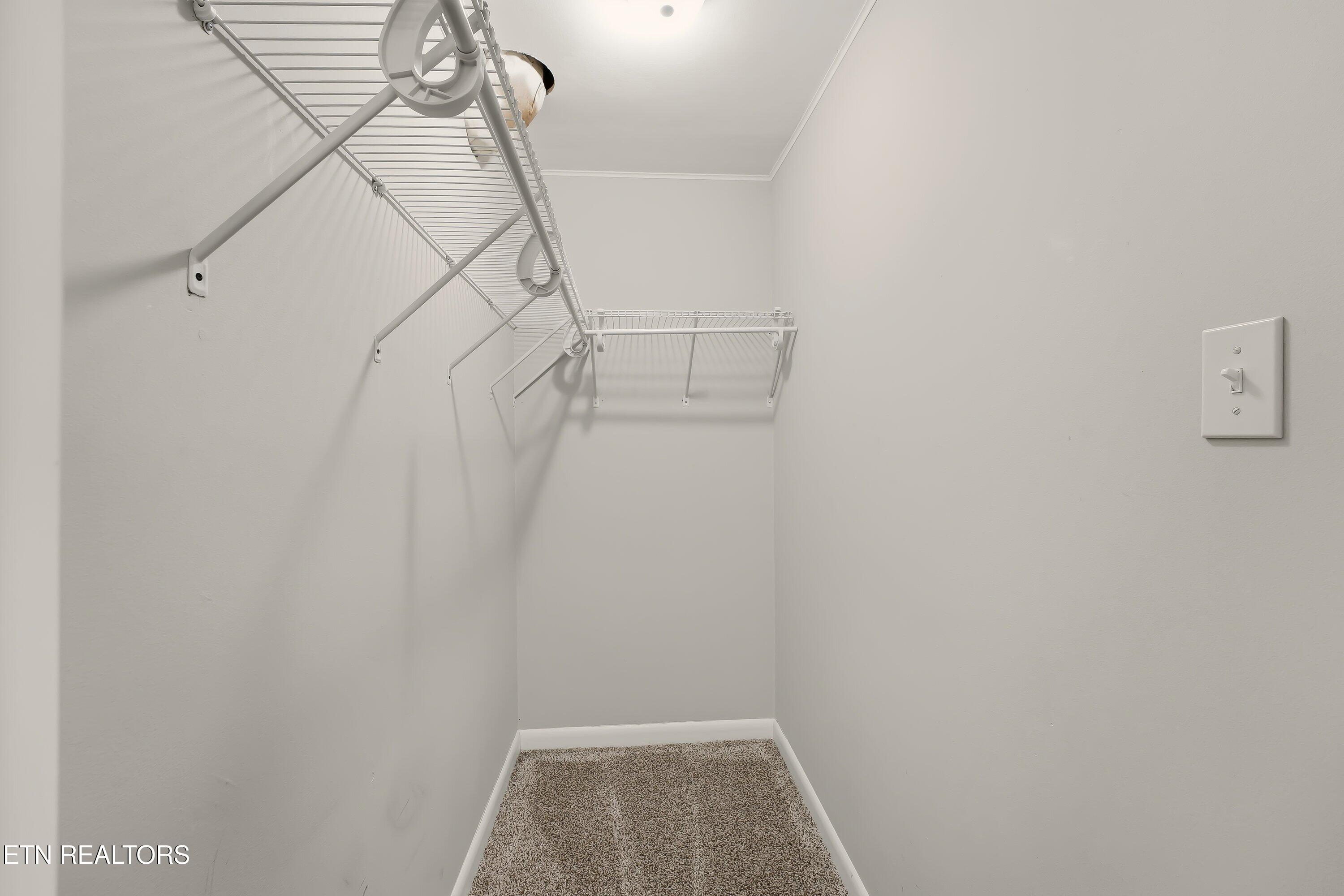 104 Case Lane Oak Ridge, TN 37830 - Photo 30 of 37 Deep Basement Closet