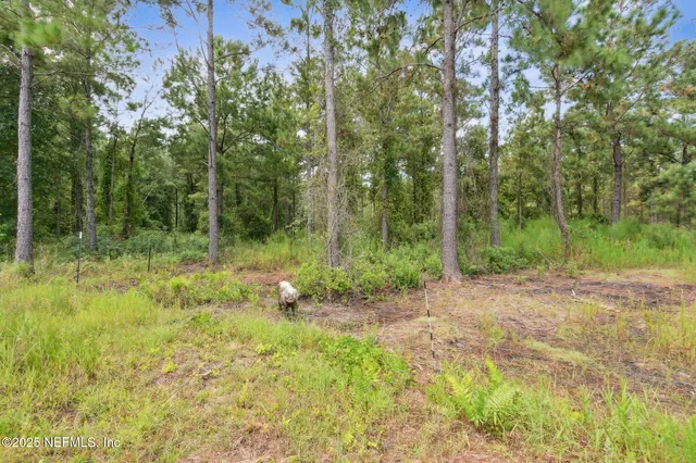 $1,390,000 | 47333 Turkey Town Lane, Hilliard, FL 32046