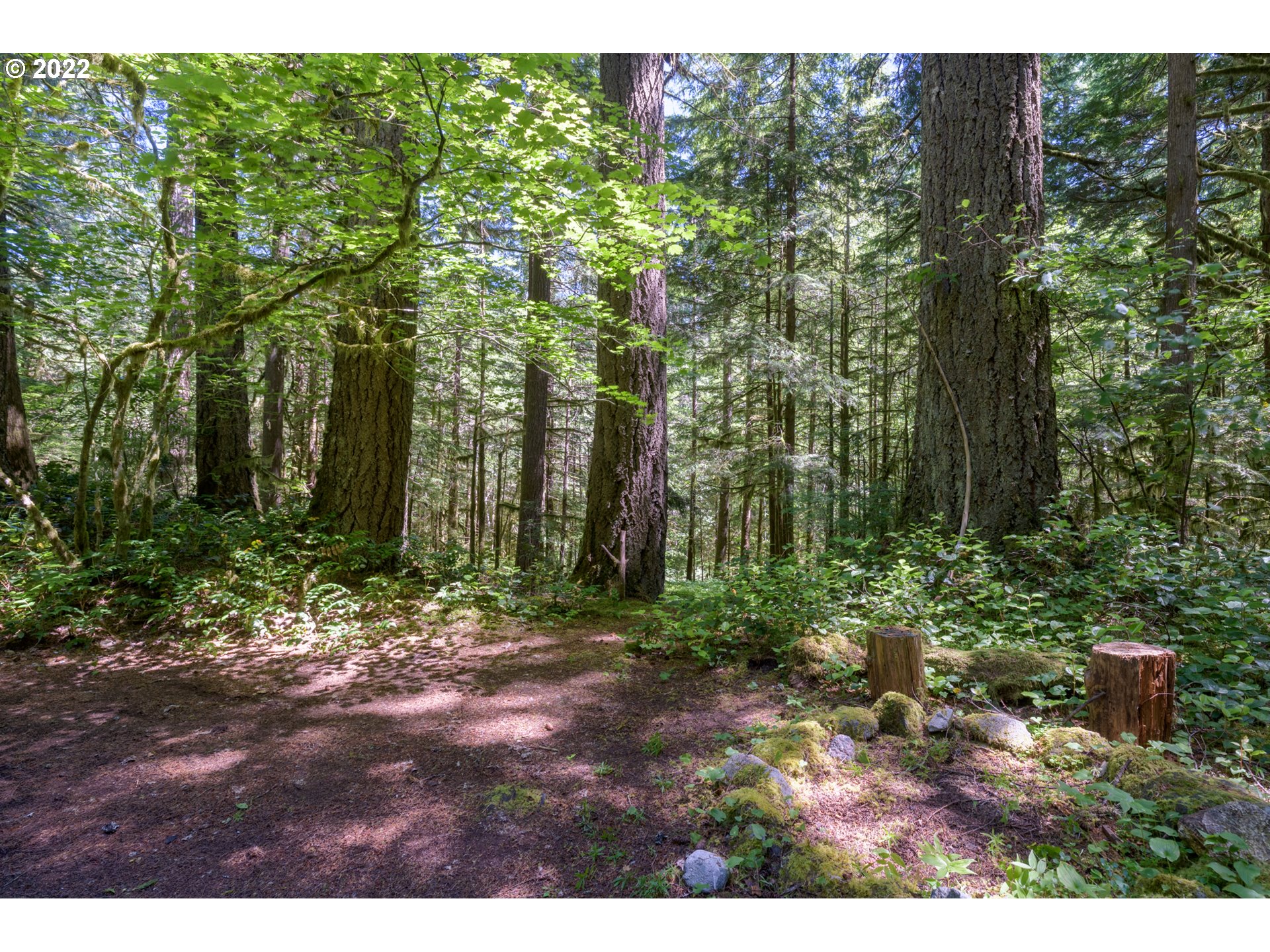 26870 East Road 15, Unit 3&4 Rhododendron, OR 97049 - Photo 25 of 32 Backyard