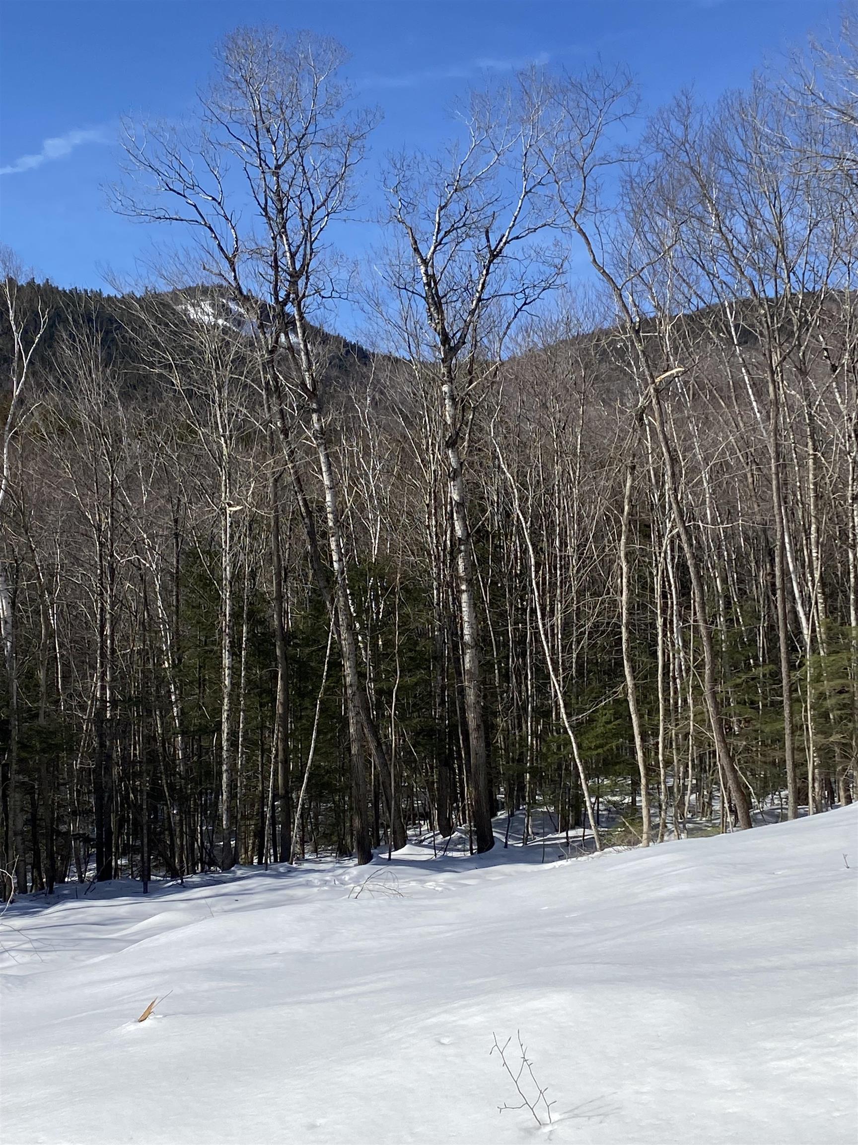 F5 Cave Mountain Road Glen, NH 03838 - Photo 1 of 4 Gallery Image 1