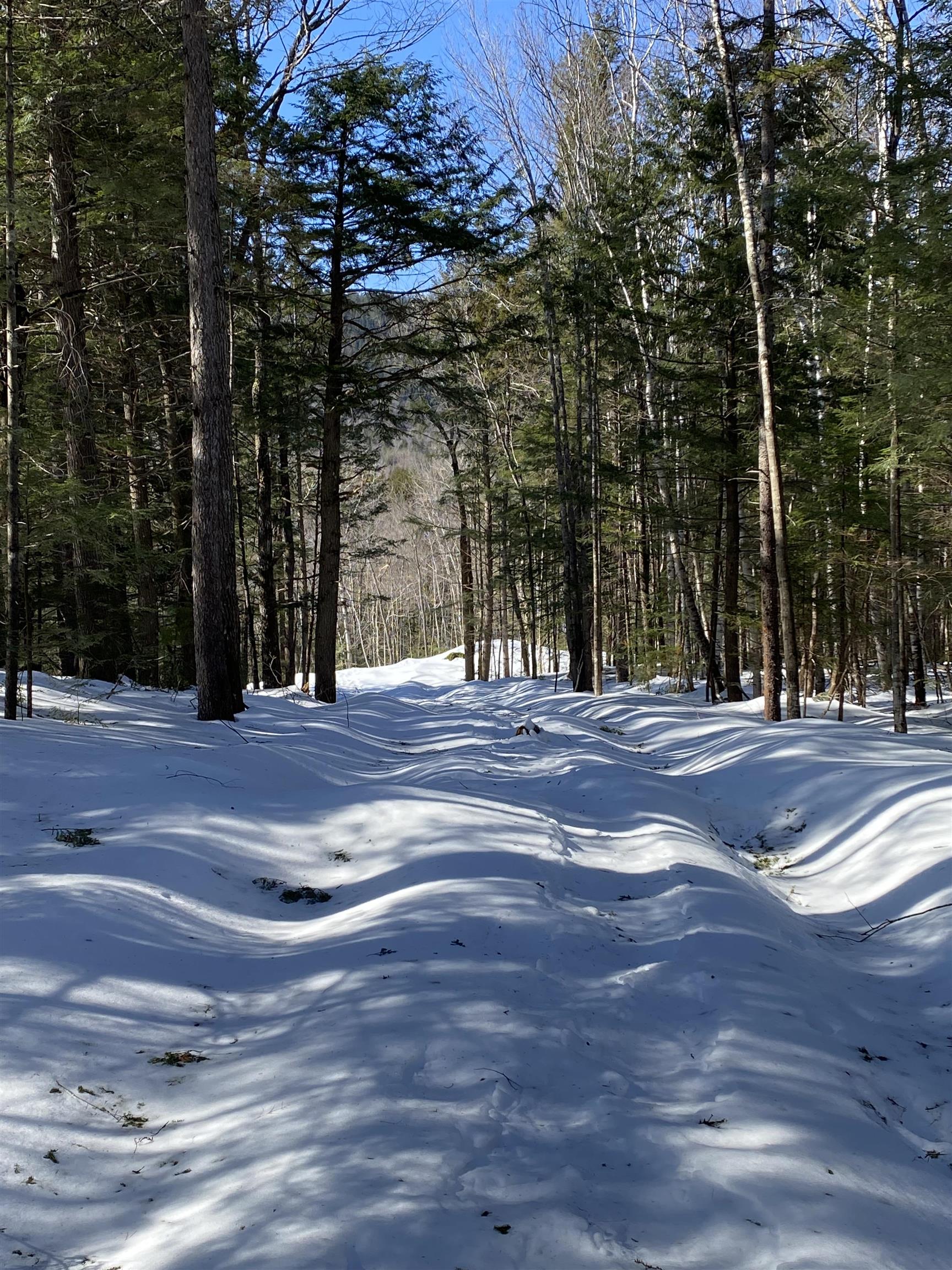 F5 Cave Mountain Road Glen, NH 03838 - Photo 2 of 4 Gallery Image 2