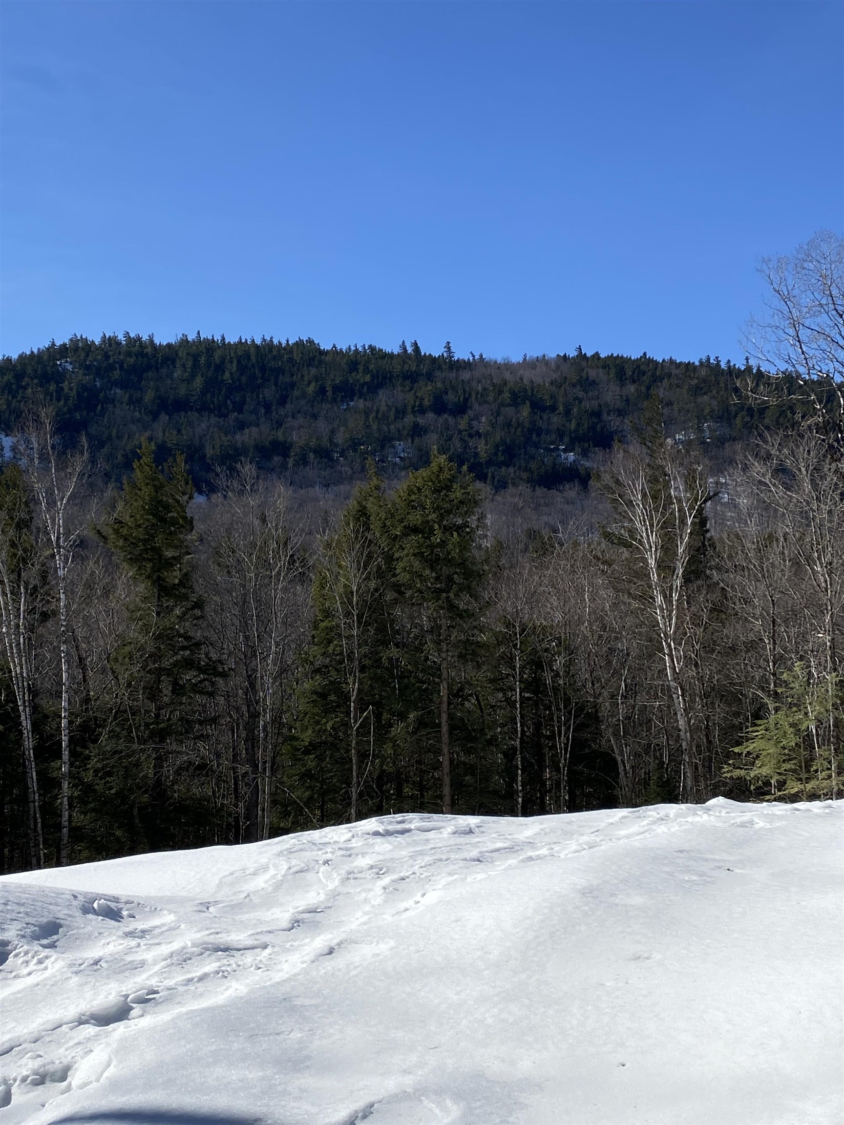 F5 Cave Mountain Road Glen, NH 03838 - Photo 4 of 4 Gallery Image 4