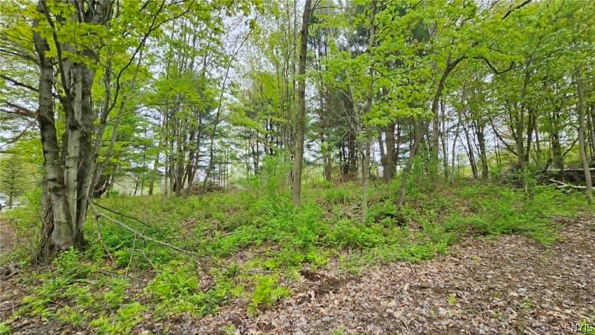 2 Co Rt Pulaski, NY 13142 - Photo 3 of 10