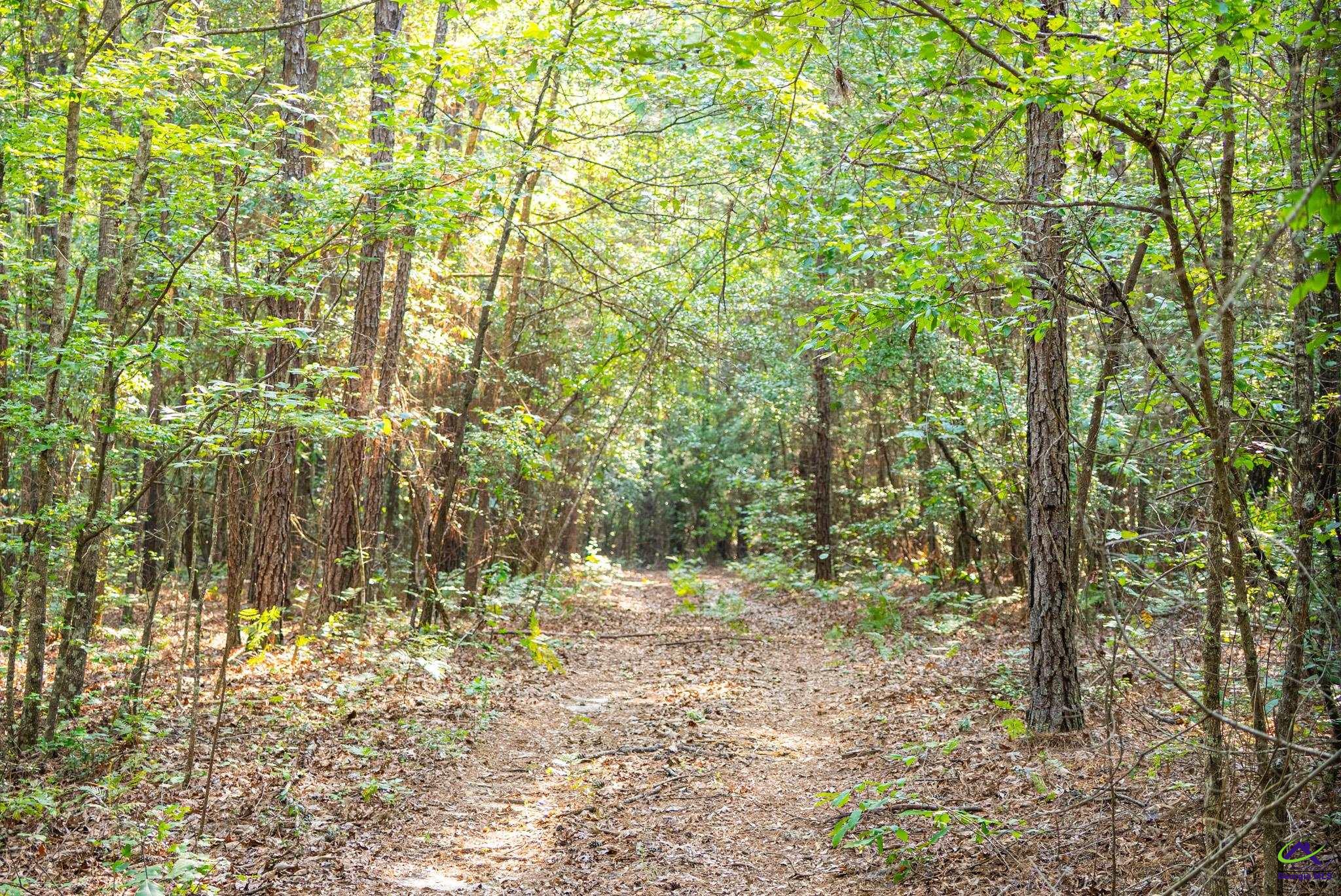 Southland Road Butler, GA 31006 - Photo 56 of 68