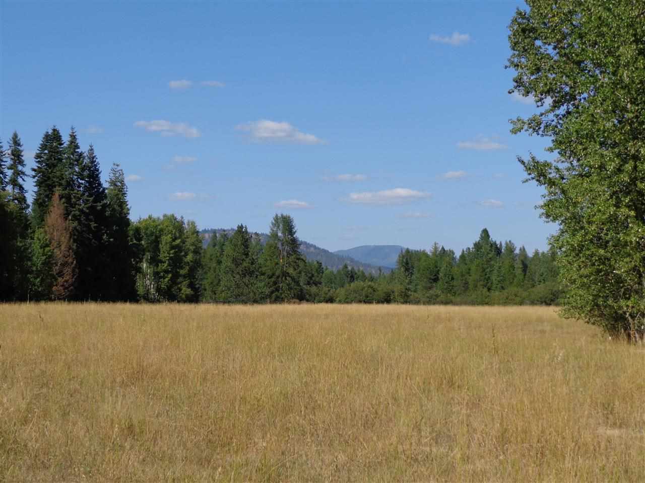40212 North Spotted Road Deer Park, WA 99006 - Photo 16 of 20 Gallery Image 16