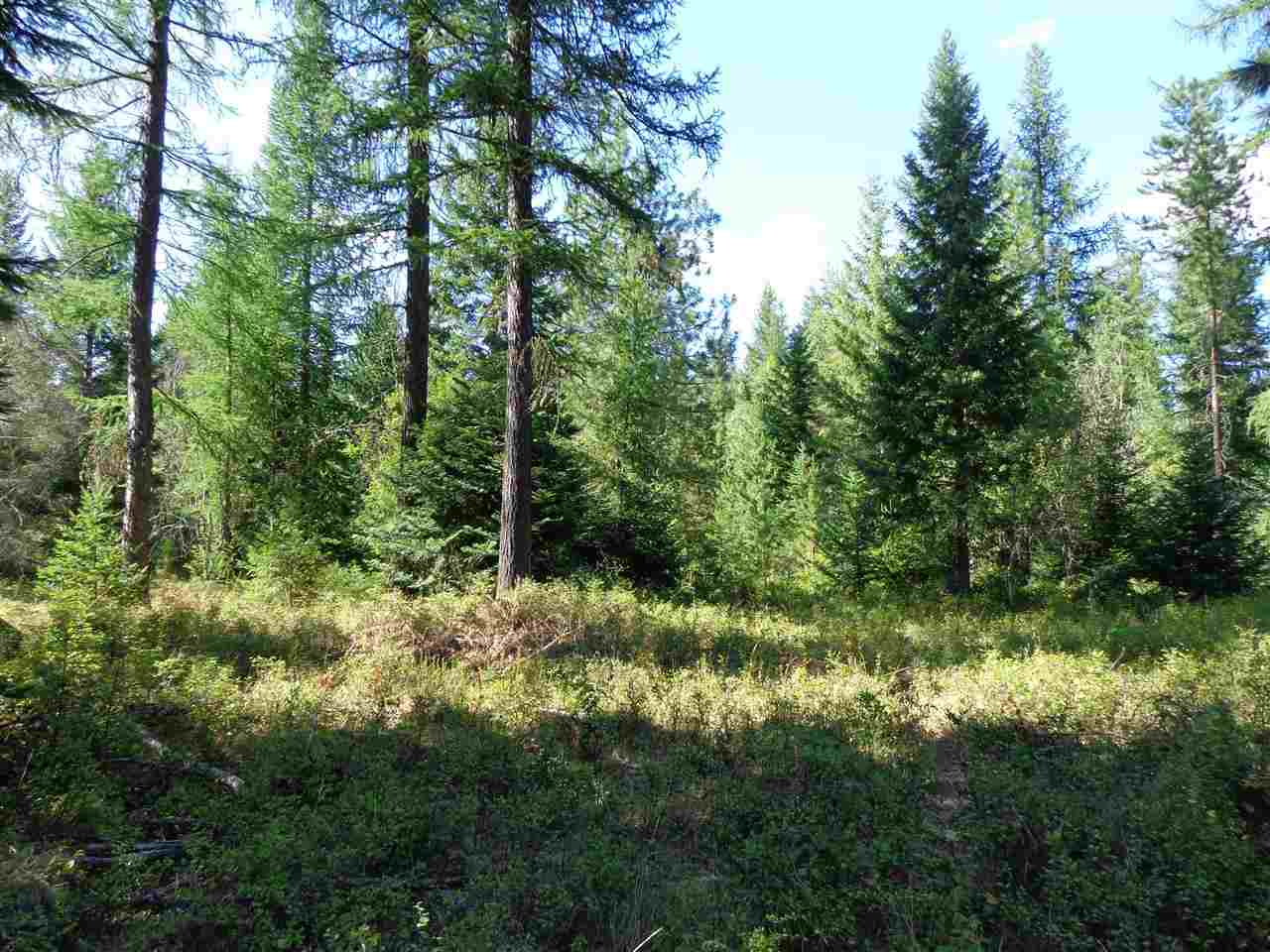 40212 North Spotted Road Deer Park, WA 99006 - Photo 18 of 20 Gallery Image 18