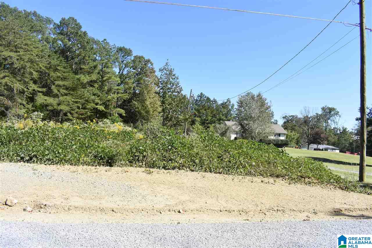 13933 B T Short Cutoff Road Vance, AL 35490 - Photo 30 of 30