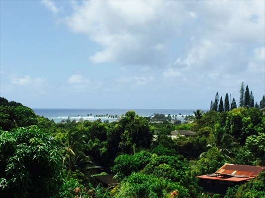 4953 La Road Kapaa, HI 96746 - Photo 2 of 21 a view of a garden