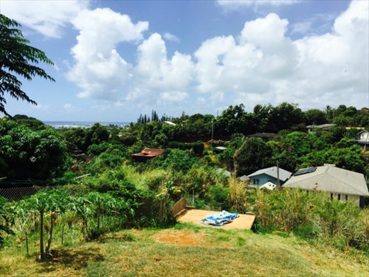 4953 La Road Kapaa, HI 96746 - Photo 9 of 21 a view of a lake with a yard