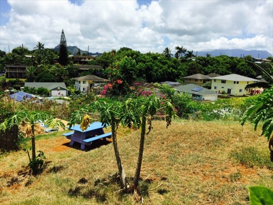 4953 La Road Kapaa, HI 96746 - Photo 10 of 21 a view of a yard with plants