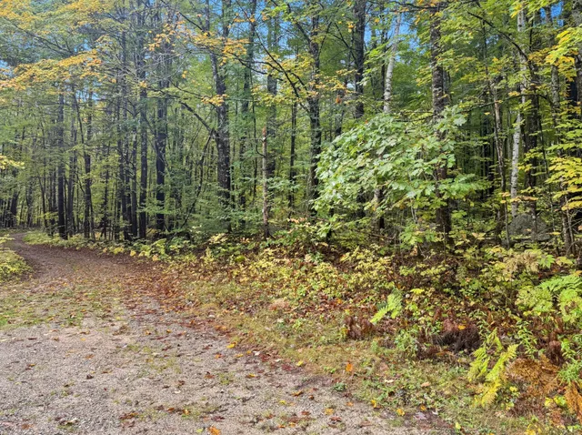 $75,000 | 0 Carter Lane, West Newfield, ME 04095