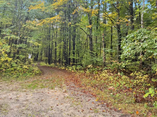 $75,000 | 0 Carter Lane, West Newfield, ME 04095