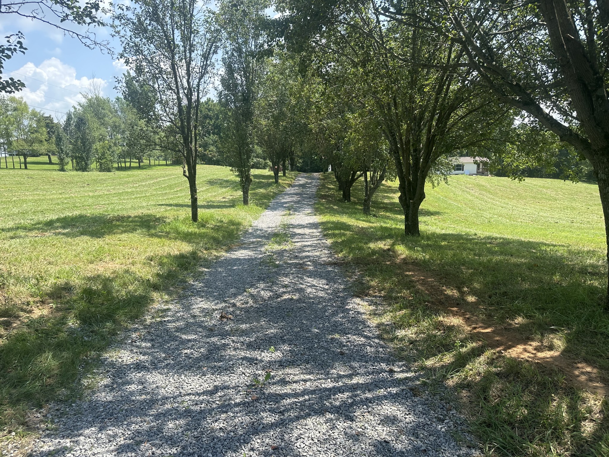 6409 Roy Pearson Road Springfield, TN 37172 - Photo 4 of 22 a view of a tree in a yard