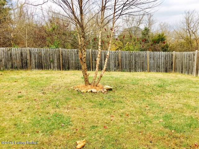 17523 Curry Branch Road Louisville, KY 40245 - Photo 24 of 24 32