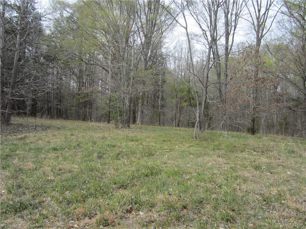 388 Brown Road Linwood, NC 27299 - Photo 4 of 4 Gallery Image 4