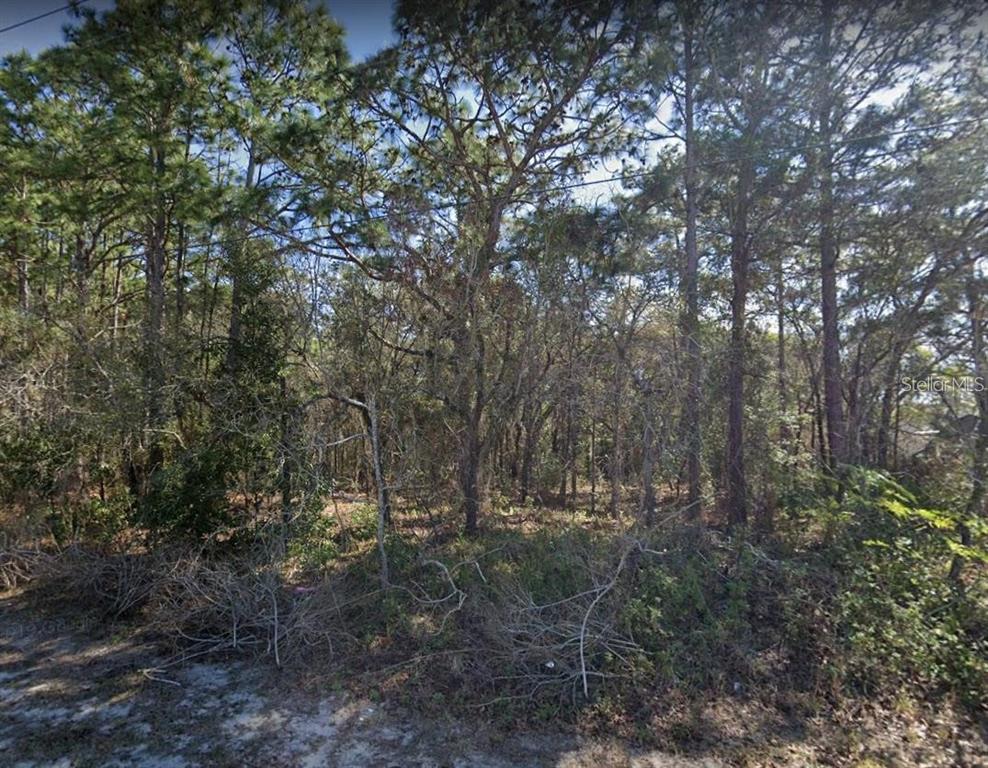 4430 Landover Boulevard Spring Hill, FL 34609 - Photo 1 of 2