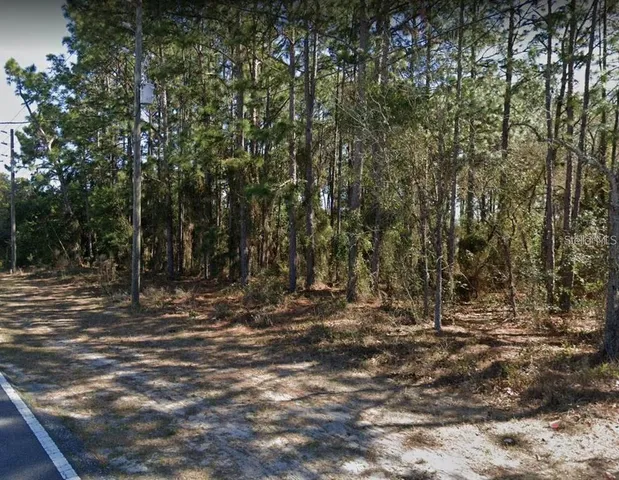 a view of outdoor space with trees