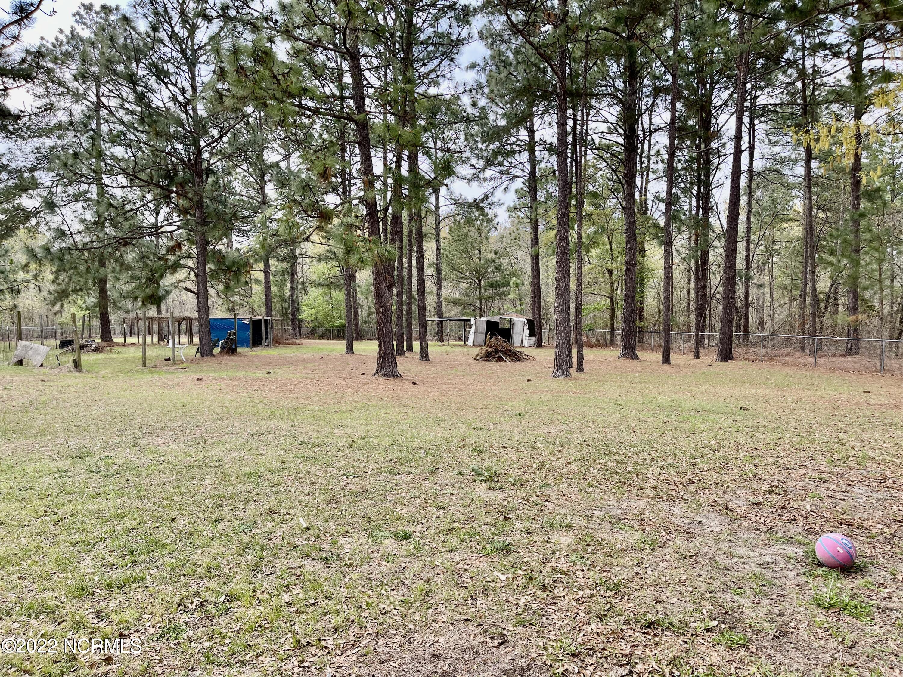 125 Greenbriar Lane Rockingham, NC 28379 - Photo 31 of 44 Backyard