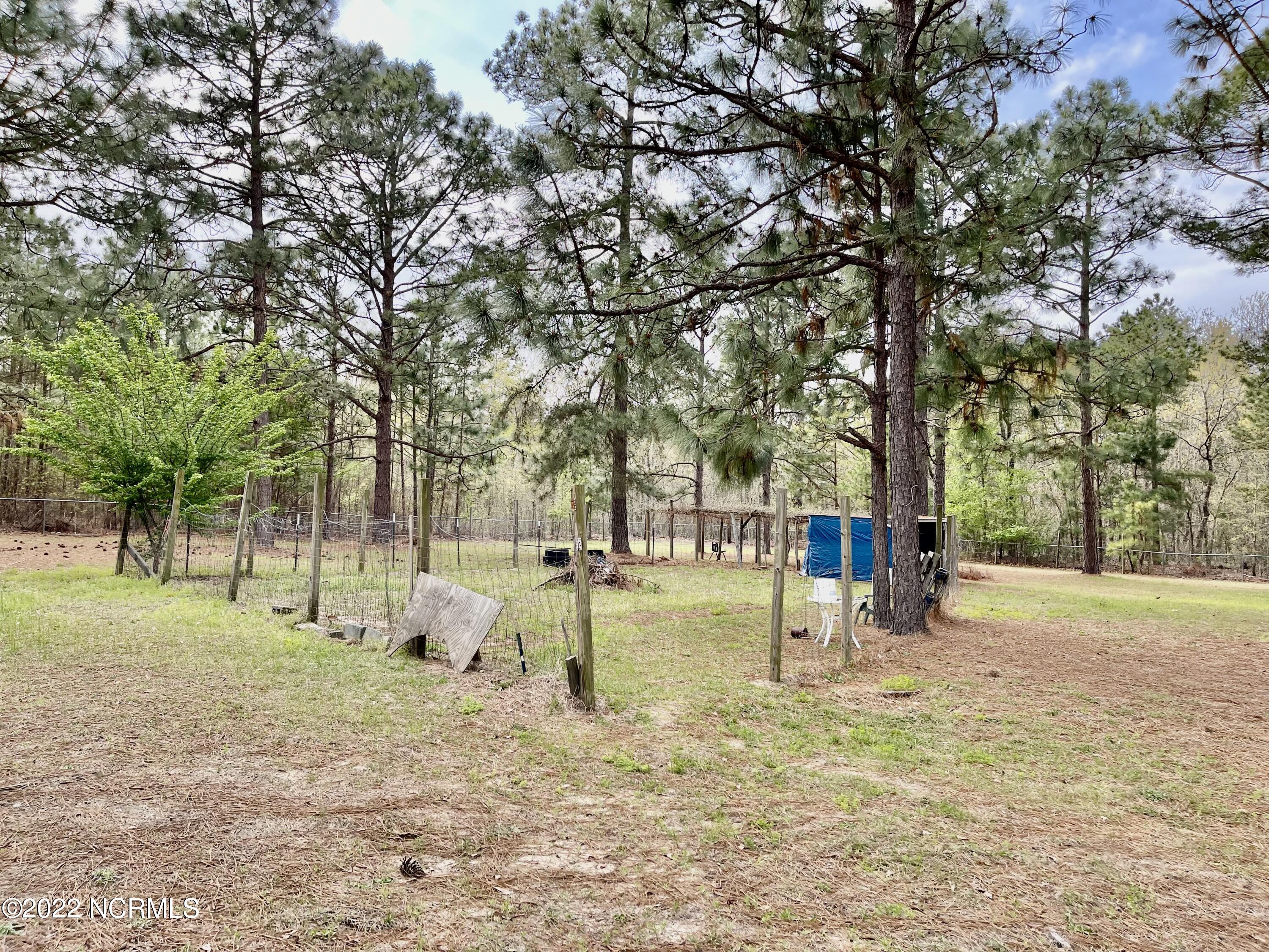 125 Greenbriar Lane Rockingham, NC 28379 - Photo 32 of 44 Backyard