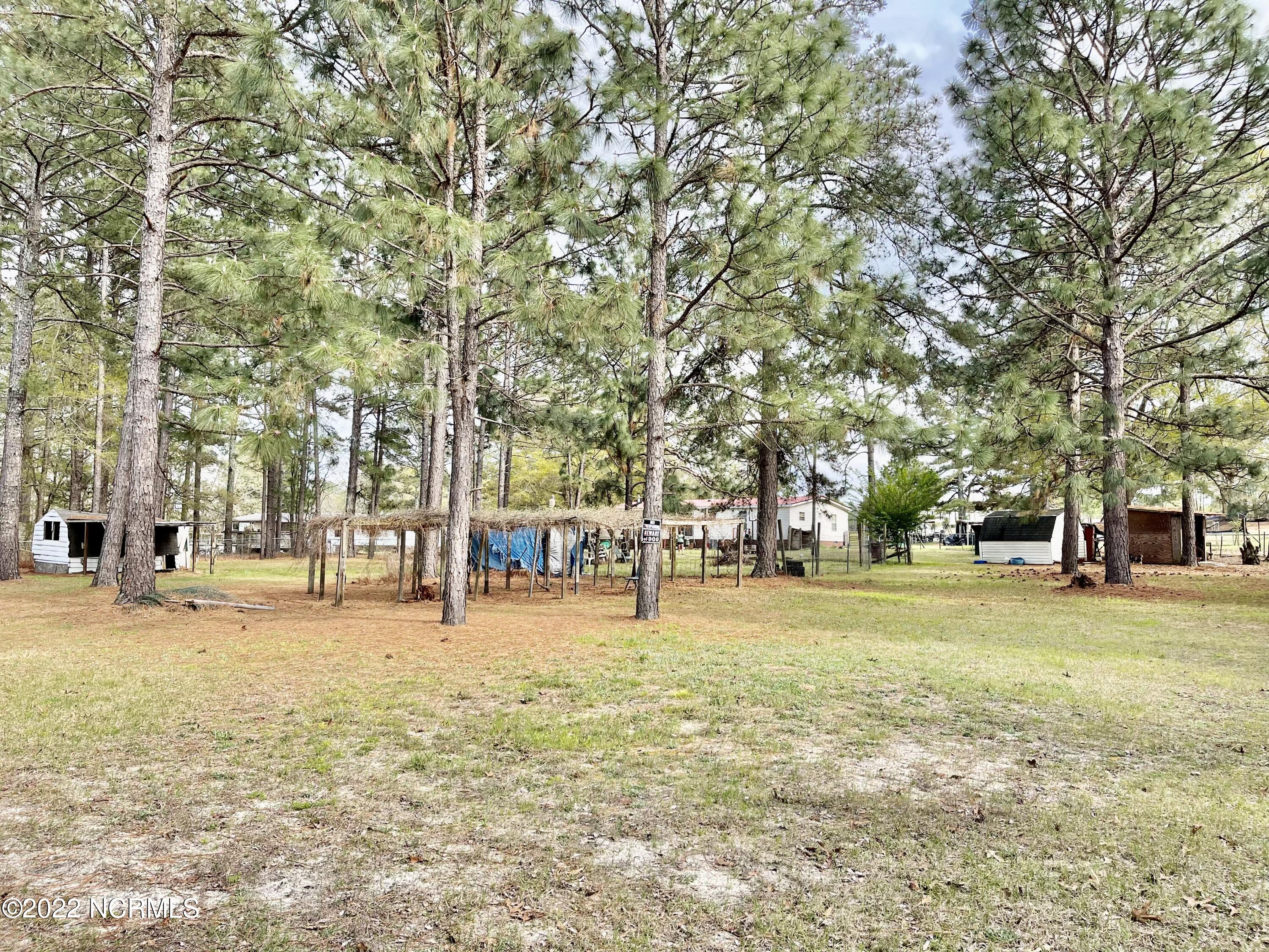 125 Greenbriar Lane Rockingham, NC 28379 - Photo 37 of 44 Large backyard