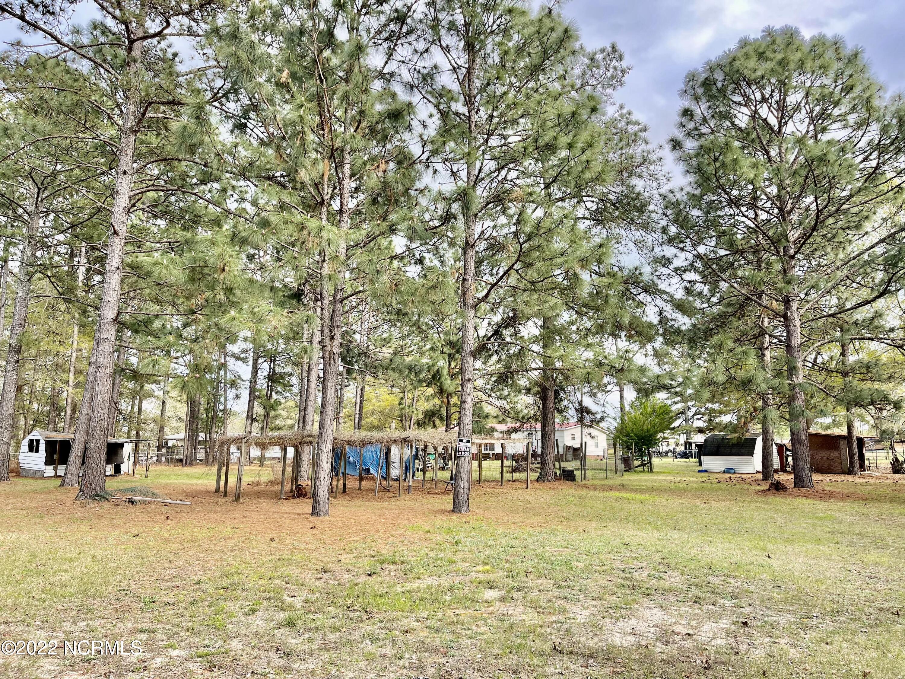 125 Greenbriar Lane Rockingham, NC 28379 - Photo 38 of 44 Backyard