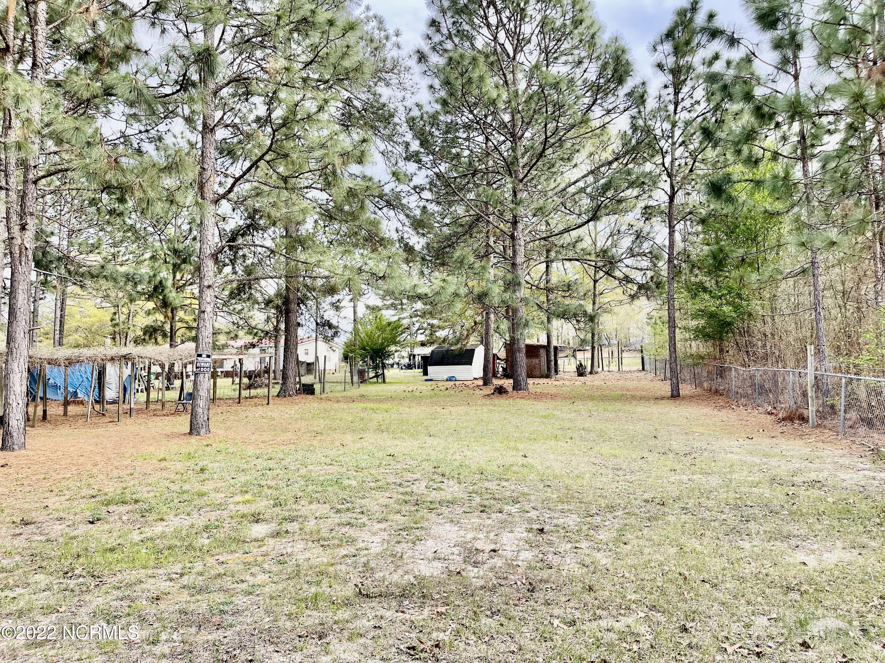 125 Greenbriar Lane Rockingham, NC 28379 - Photo 39 of 44 Backyard